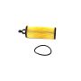 Mopar 68191349AC FILTER KIT, Engine Oil