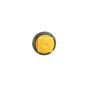 Mopar 68256487AA PIN, Push