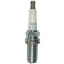 NGK 4905 NGK Racing Spark Plug