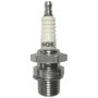 NGK 95746 NGK Racing Spark Plug