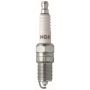 NGK 7993 NGK Racing Spark Plug