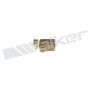 Walker Products 100-81 Walker Products 100-81 Carburetor Float