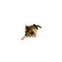 Walker Products 101-800 Walker Products 101-800 Carburetor Choke Pull-Off