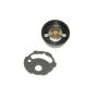 Walker Products 102-1017 Walker Products 102-1017 Carburetor Choke Thermostat