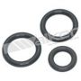 Walker Products 17191 Walker Products 17191 Fuel Injection Fuel Rail O-Ring Kit