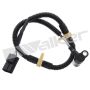 Walker Products 235-1658 Walker Products 235-1658 Engine Crankshaft Position Sensor