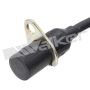 Walker Products 235-1838 Walker Products 235-1838 Engine Crankshaft Position Sensor