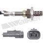 Walker Products 250-22062 Walker Products 250-22062 Oxygen Sensor 2-W Direct Fit W/Flange