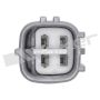 Walker Products 250-24501 Walker Products 250-24501 Oxygen Sensor 4-W Titania W/Flange
