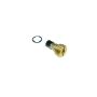 Walker Products 31-652 Walker Products 31-652 Carburetor Needle and Seat