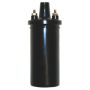 Walker Products 920-1002 ThunderSpark 920-1002 Ignition Coil