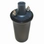 Walker Products 920-1040 ThunderSpark 920-1040 Ignition Coil
