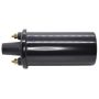 Walker Products 920-1041 ThunderSpark 920-1041 Ignition Coil