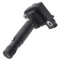 Walker Products 921-2244 ThunderSpark 921-2244 Ignition Coil