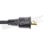 Walker Products 924-1009 ThunderCore PRO 924-1009 Spark Plug Wire Set