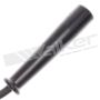 Walker Products 924-1011 ThunderCore PRO 924-1011 Spark Plug Wire Set