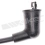Walker Products 924-1011 ThunderCore PRO 924-1011 Spark Plug Wire Set