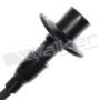 Walker Products 924-1012 ThunderCore PRO 924-1012 Spark Plug Wire Set