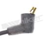Walker Products 924-1023 ThunderCore PRO 924-1023 Spark Plug Wire Set
