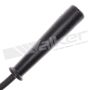 Walker Products 924-1103 ThunderCore PRO 924-1103 Spark Plug Wire Set