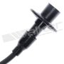 Walker Products 924-1172 ThunderCore PRO 924-1172 Spark Plug Wire Set