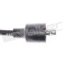 Walker Products 924-1185 ThunderCore PRO 924-1185 Spark Plug Wire Set