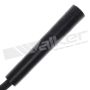 Walker Products 924-1201 ThunderCore PRO 924-1201 Spark Plug Wire Set