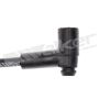 Walker Products 924-1230 ThunderCore PRO 924-1230 Spark Plug Wire Set