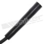 Walker Products 924-1256 ThunderCore PRO 924-1256 Spark Plug Wire Set