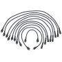 Walker Products 924-1398 ThunderCore PRO 924-1398 Spark Plug Wire Set