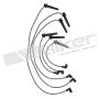 Walker Products 924-1689 ThunderCore PRO 924-1689 Spark Plug Wire Set