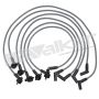 Walker Products 924-1801 ThunderCore PRO 924-1801 Spark Plug Wire Set