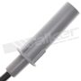 Walker Products 924-1805 ThunderCore PRO 924-1805 Spark Plug Wire Set