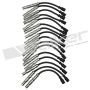 Walker Products 924-1821 ThunderCore PRO 924-1821 Spark Plug Wire Set
