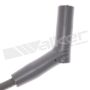 Walker Products 924-2036 ThunderCore PRO 924-2036 Spark Plug Wire Set