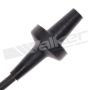 Walker Products 924-2065 ThunderCore PRO 924-2065 Spark Plug Wire Set