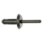 DORMAN 700-593 Rivet-Blind-Hole Diameter .250 In-Head Diameter .71875 In