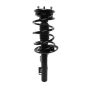 PRT PERFORMANCE RIDE 815044 PRT Complete Strut Assembly