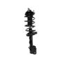 PRT PERFORMANCE RIDE 819345 PRT Complete Strut Assembly