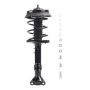 PRT PERFORMANCE RIDE 920105 PRT Complete Strut Assembly