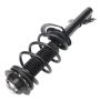 PRT PERFORMANCE RIDE 920382 PRT Complete Strut Assembly