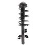 PRT PERFORMANCE RIDE 920423 PRT Complete Strut Assembly