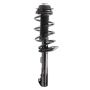 PRT PERFORMANCE RIDE 920423 PRT Complete Strut Assembly