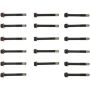 Victor Reinz 14-10038-01 Engine Cylinder Head Bolt Set