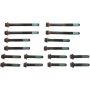 Victor Reinz 14-10181-01 Engine Cylinder Head Bolt Set