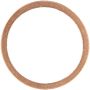 Victor Reinz 41-70166-00 Engine Oil Drain Plug Gasket