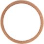 Victor Reinz 41-70166-00 Engine Oil Drain Plug Gasket