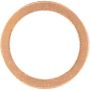 Victor Reinz 41-70168-00 Engine Oil Drain Plug Gasket