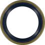 Victor Reinz 81-35079-00 Engine Crankshaft Seal