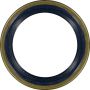 Victor Reinz 81-35079-00 Engine Crankshaft Seal